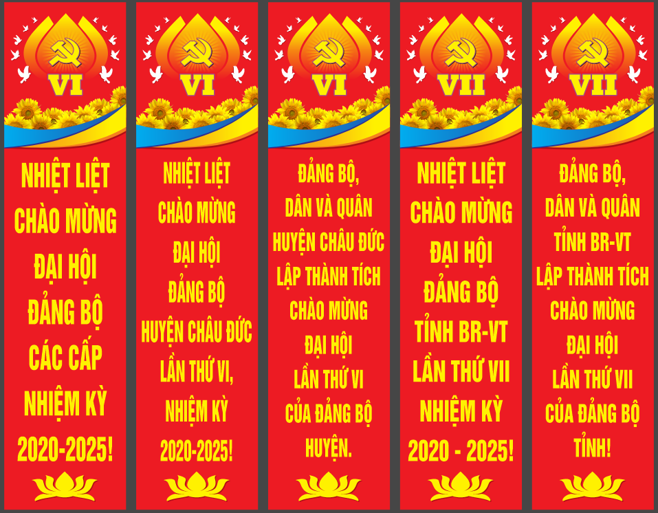 phuon tha dai hoi dang bo cac cap 2025.png
