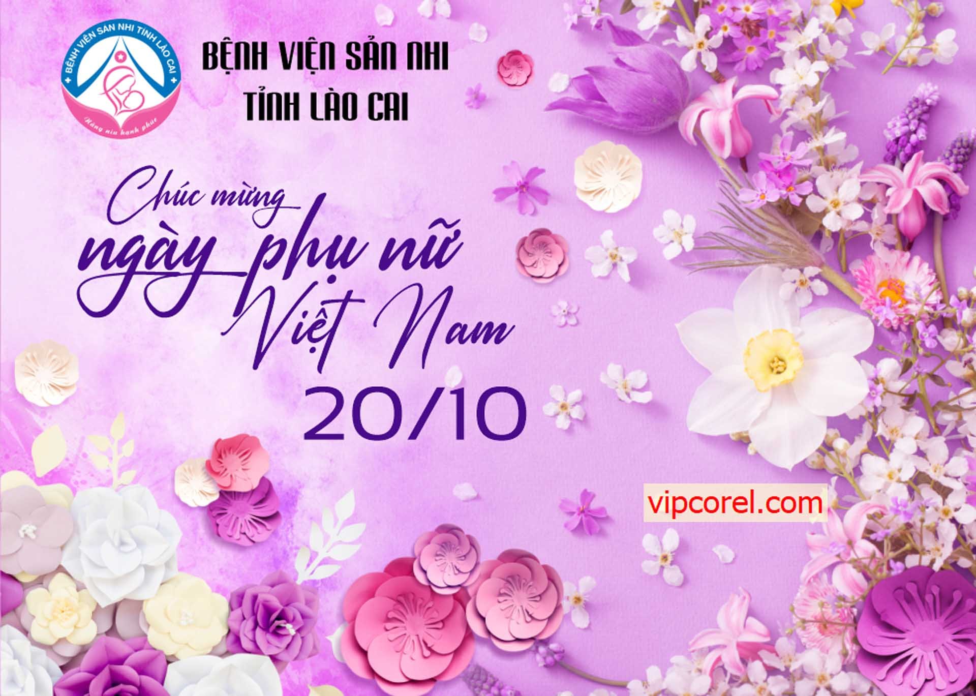 tong hop ngay phu nu viet nam 20-10 3.jpg